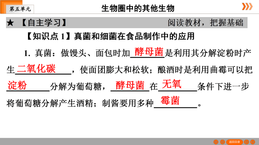 人教版生物八年级上册 第5单元 第4章 第5节　人类对细菌和真菌的利用 课件（共41张PPT）