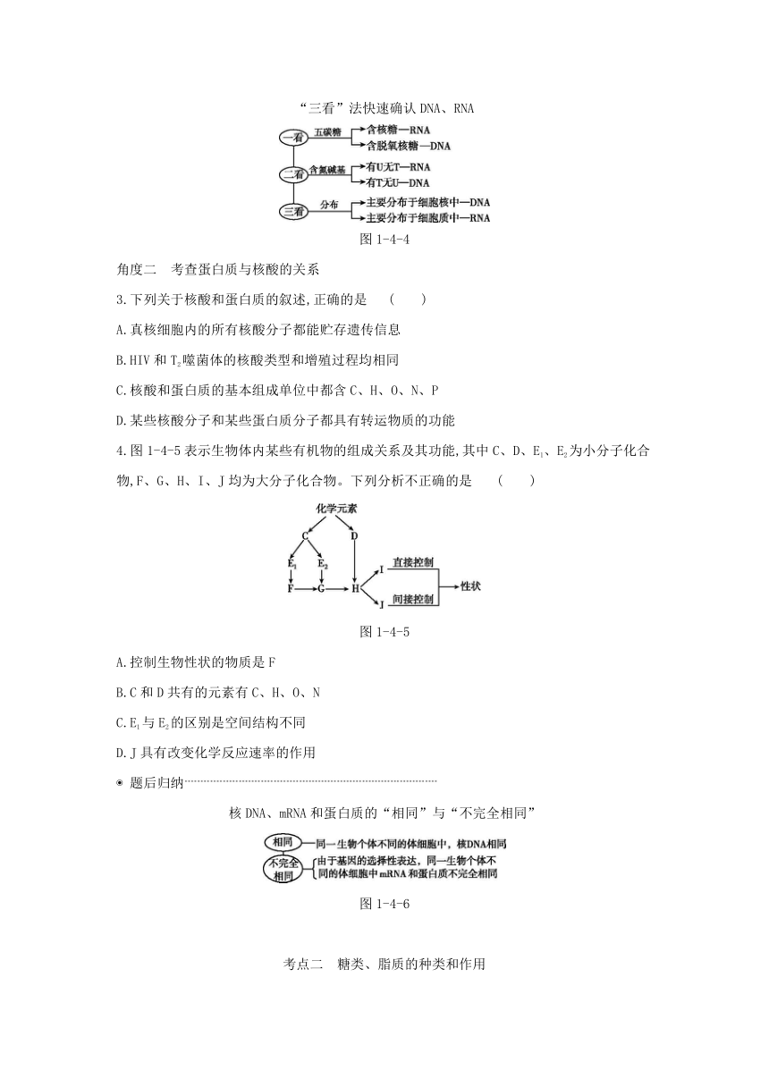 考点梳理&同步真题：第4讲   细胞中的核酸、糖类和脂质（含答案详解）