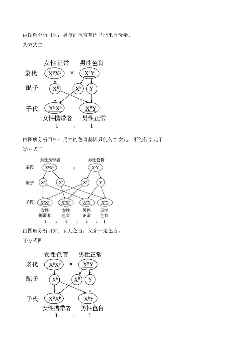 2.3伴性遗传学案