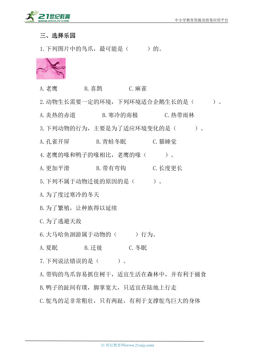 3.1 动物与环境 同步练习（含答案）