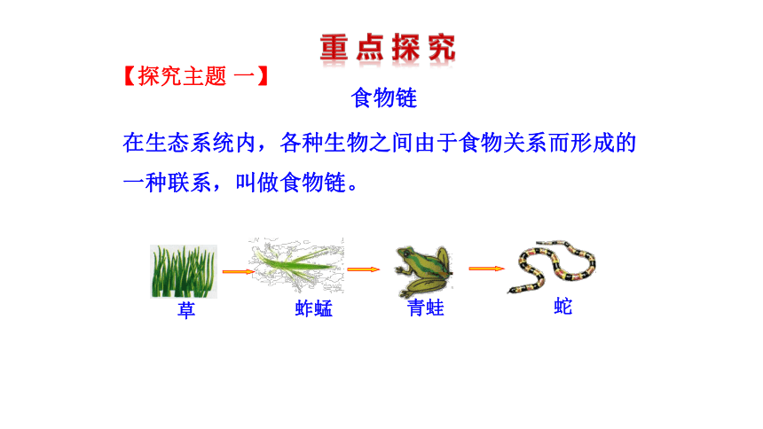 生物济南版八年级下册6.2.2 食物链和食物网课件(共23张PPT)