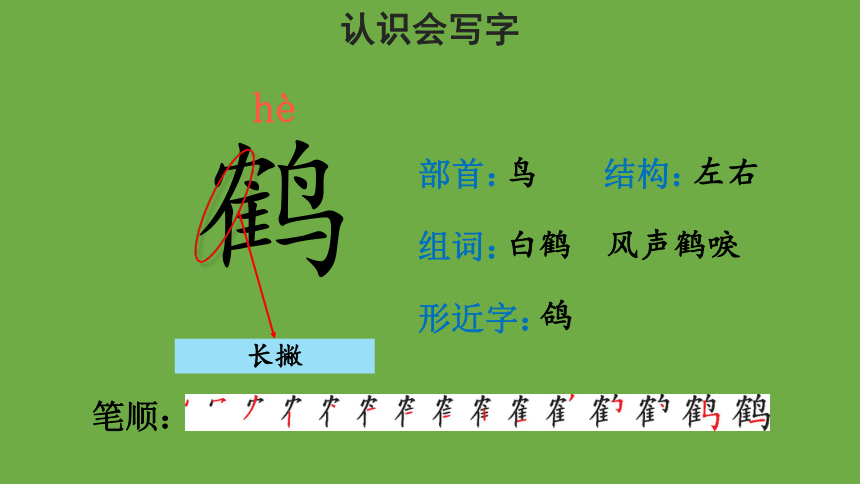 1、白鹭  第1课时 课件(共28张PPT)