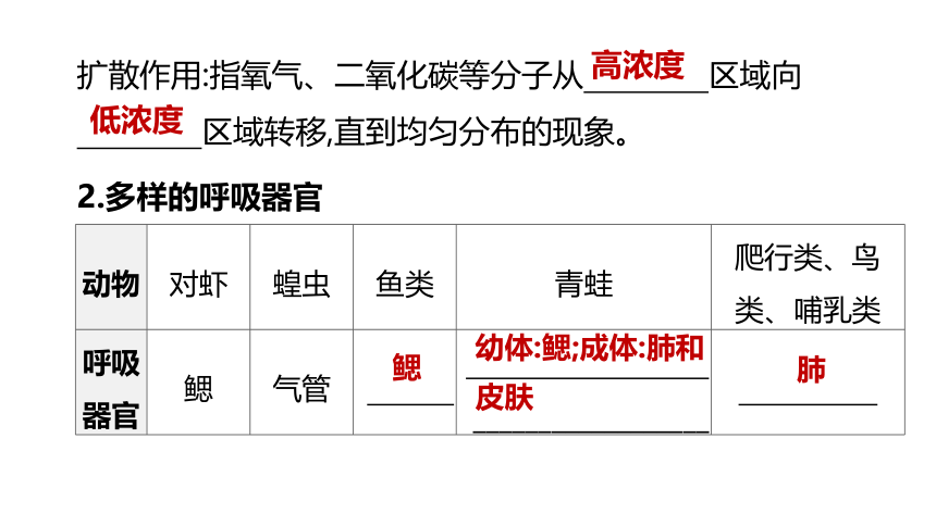 2022年浙江省中考科学一轮复习 第06课时　与人体代谢相关的系统-呼吸和消化（课件 43张PPT）