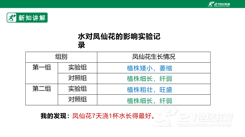 【新课标】2.5《养护凤仙花》课件（19张PPT）