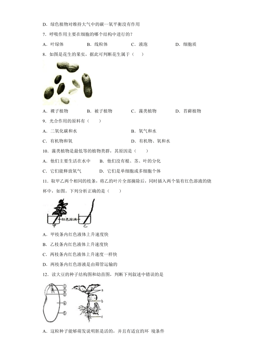 人教版七年级上册生物第三单元生物圈中的绿色植物练习题 （word版 含答案）