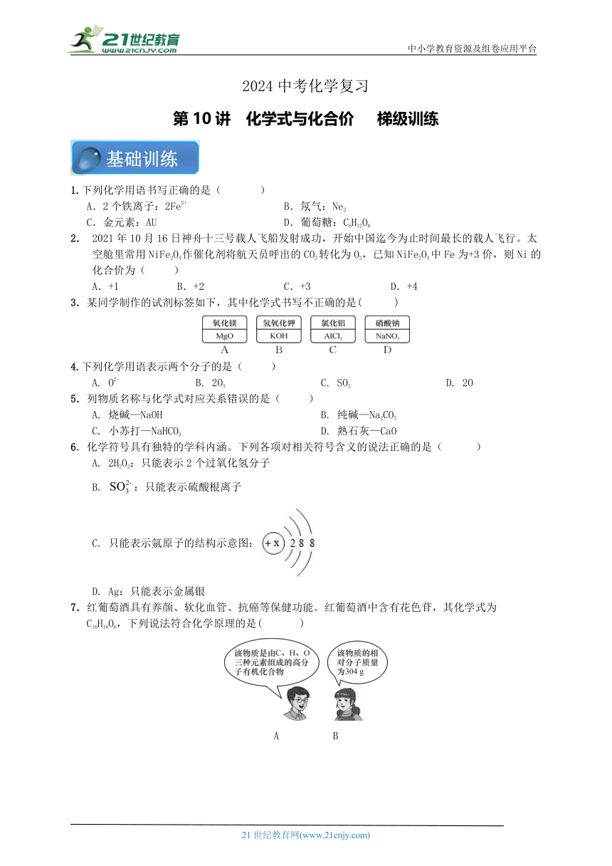 【中考满分练】2024中考化学二轮复习 第10讲 化学式与化合价 梯级训练（含答案）