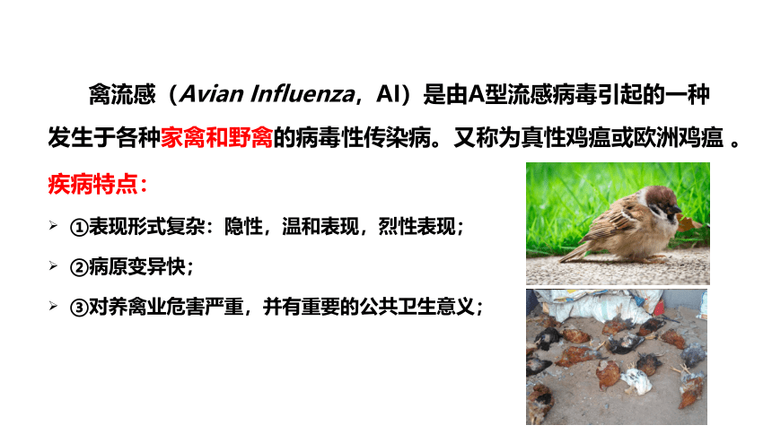 5.1禽流感 课件(共48张PPT)-《畜禽疫病防治》同步教学（高教版）
