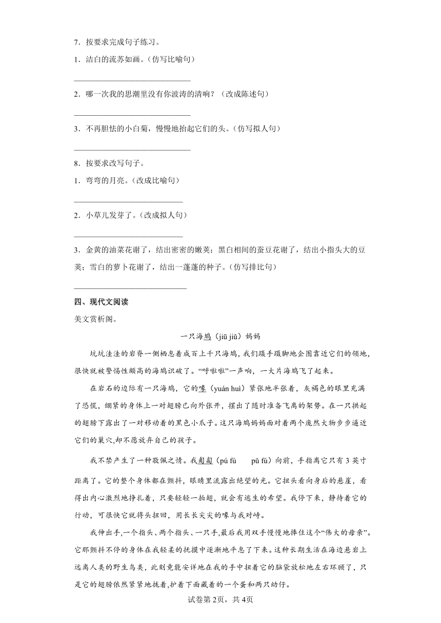 12在天晴了的时候  同步练习（含答案解析）