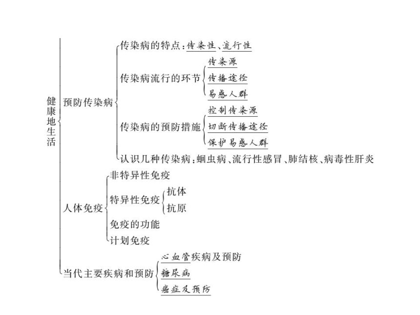 第13章 第14章 单元复习 习题课件 2020-2021学年北师大版七年级生物下册（16张PPT）