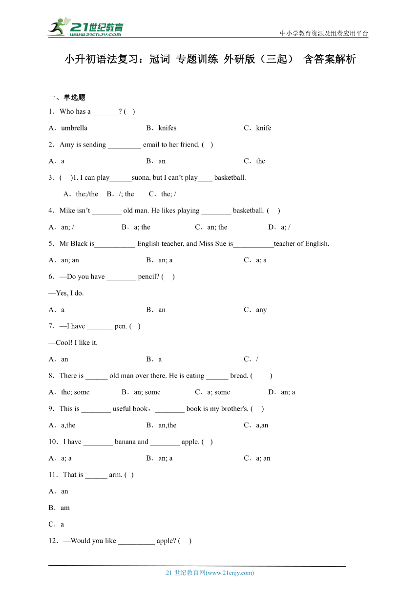 小升初语法复习：冠词 专题训练 外研版（三起） 含答案解析