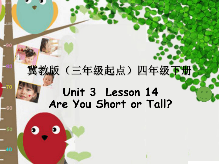 Unit 3 Lesson 14 Are You Short or Tall 课件(共15张PPT)