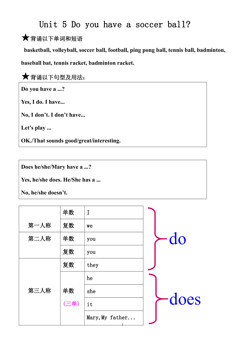 人教版七年级上册 Unit 5 Do you have a soccer ball? Section A 1a-2d 学案（无答案）