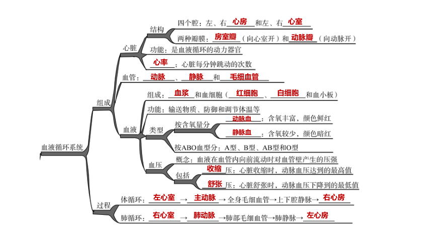 2022年浙江省中考科学一轮复习 第07课时　与人体代谢相关的系统-循环和泌尿（课件 54张PPT）