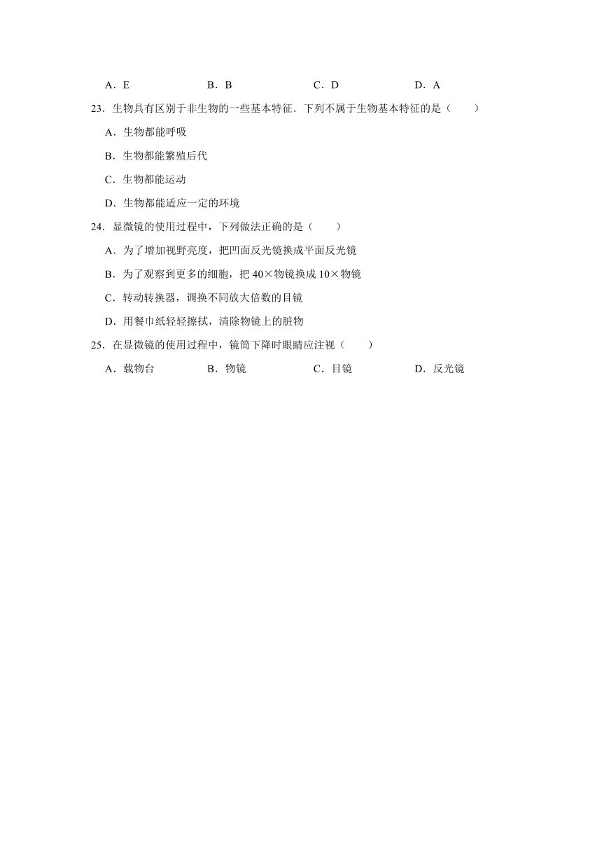 江苏省淮安市洪泽湖中学2022-2023学年七年级上学期段考生物试卷(含解析)