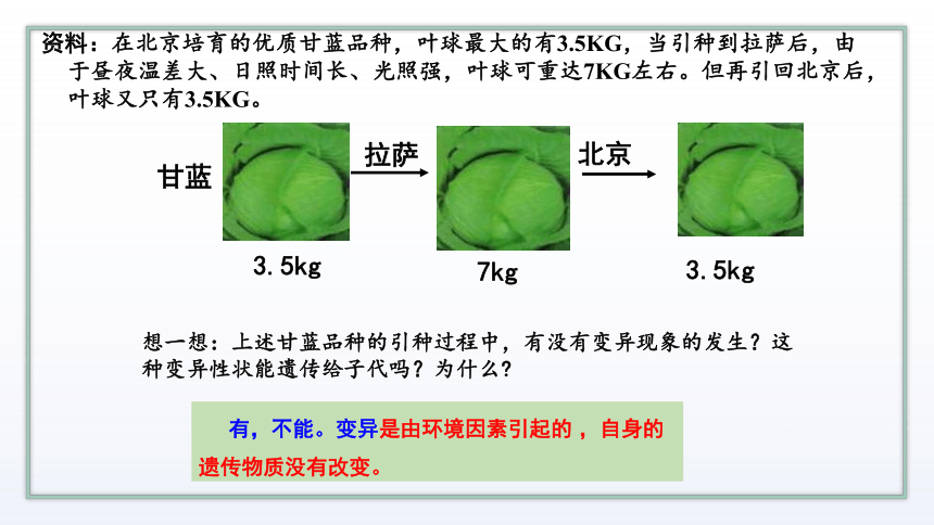 高中生物新苏教版必修二3.2 基因突变和基因重组 课件 (共37张PPT)