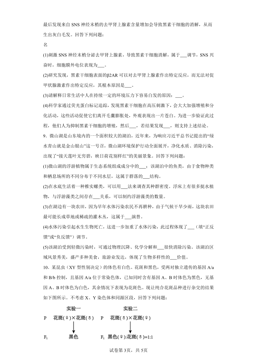 2024届陕西省高三下学期二模理综试题-高中生物（含解析）