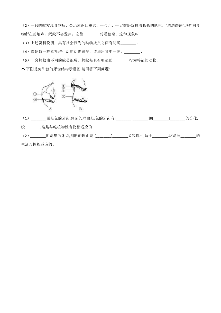 济南版七上：第二单元 第二章 生物圈中的动物 单元练习题（含解析）