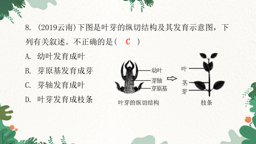 人教版生物七年级上册 第三单元生物圈中的绿色植物章末总结第二章被子植物的一生课件(共31张PPT)