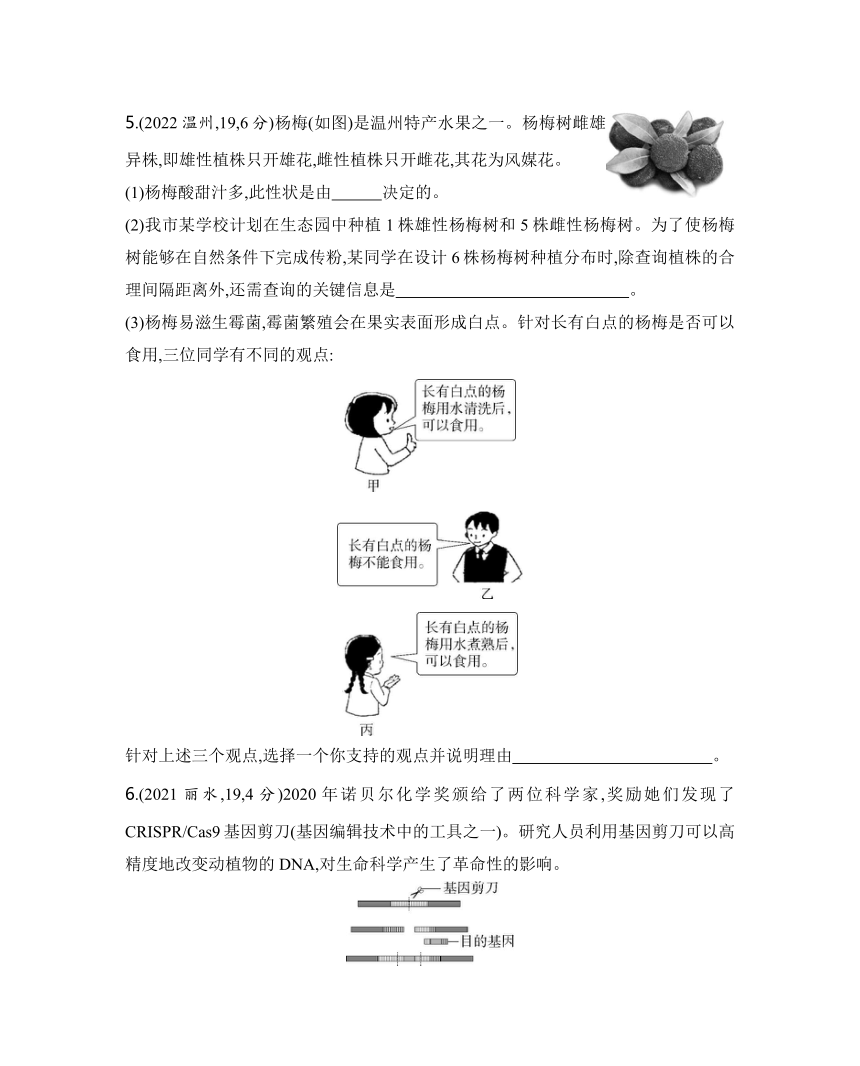 2024年浙江省中考科学二轮复习生物部分：专题七 遗传和进化练习（含答案）