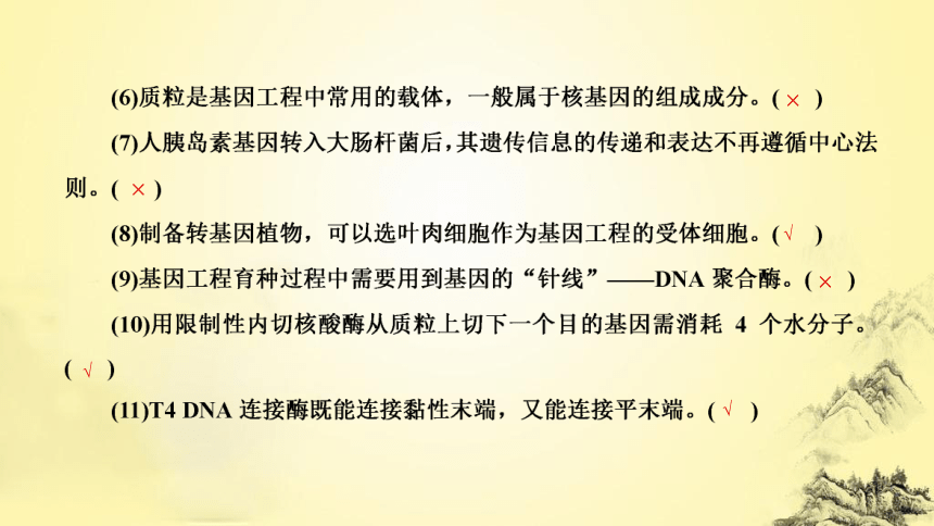 新人教生物二轮复习课件16 基因工程(课件共42张PPT)