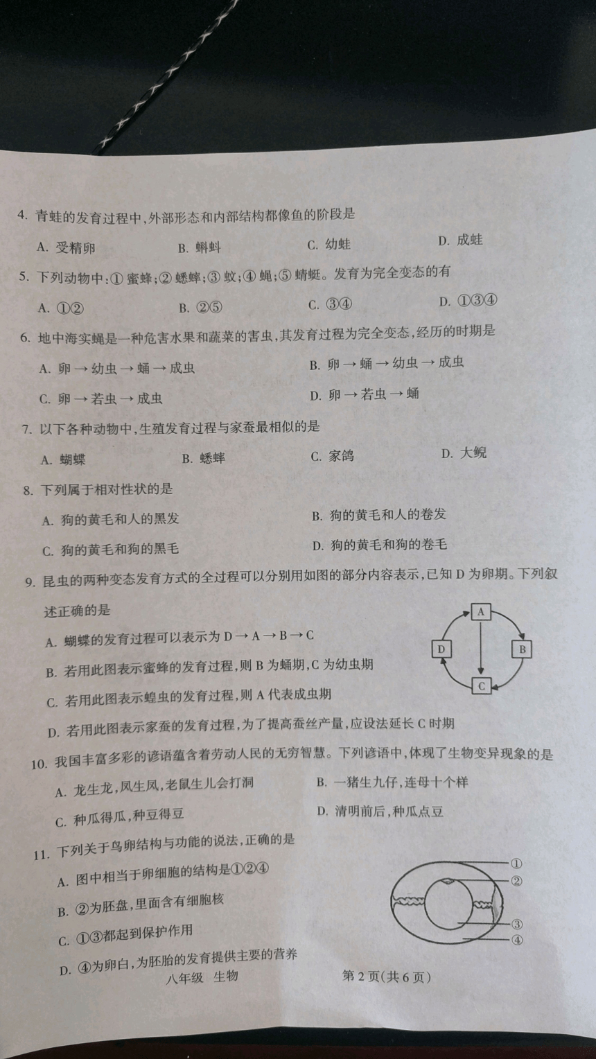 山西省临汾市霍州市2022-2023学年八年级下学期期中生物试题（pdf版无答案）