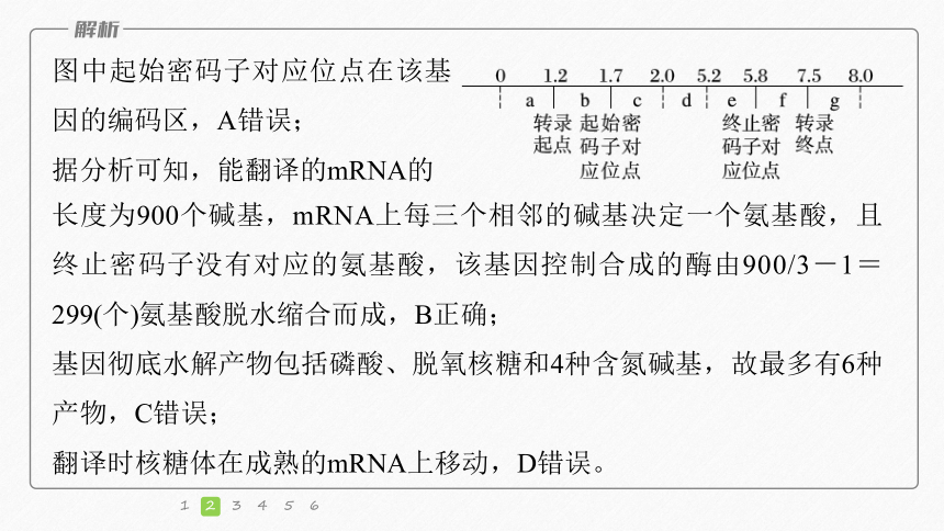 高考生物选择题提速练：(4)遗传的分子基础（课件版共31张PPT)