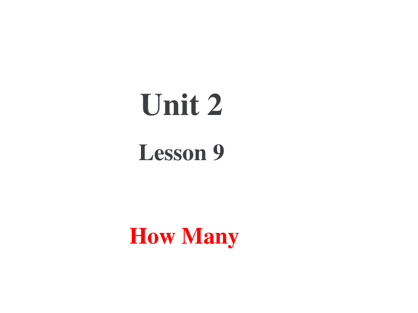 Unit 2 Animals at the Zoo  Lesson  9 How Many ？课件 (共16张PPT)