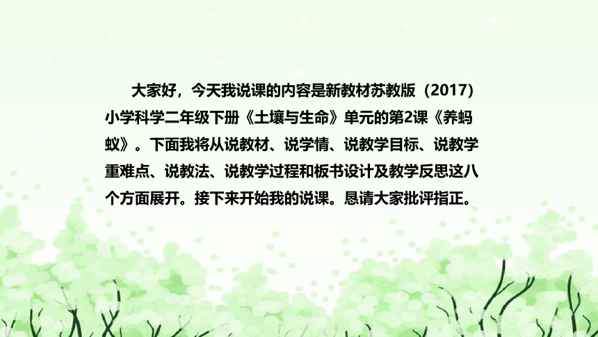 苏教版（2017）小学科学二年下册《养蚂蚁》说课（附反思、板书）课件(共37张PPT)