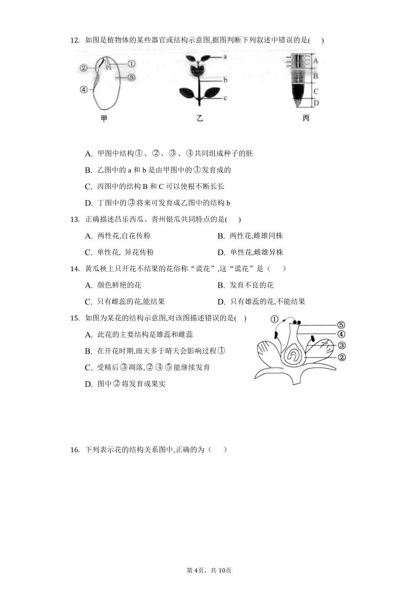 2022-2023学年人教版生物七年级上册同步作业 3.2被子植物的一生(word版含答案）