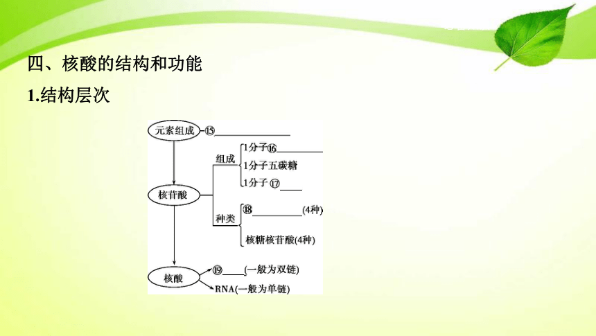 高考生物专题课件3：蛋白质、核酸、糖类和脂质(共72张PPT)