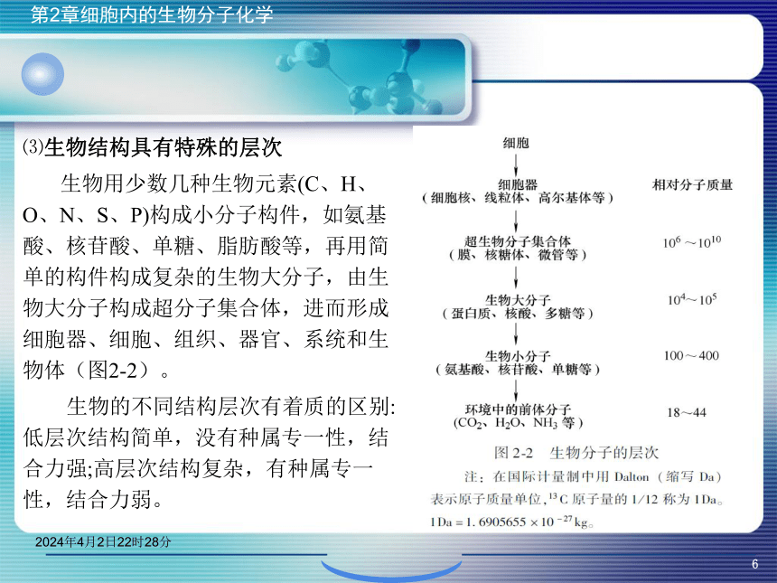 2.1生物分子概论 课件(共42张PPT)- 《环境生物化学》同步教学（机工版·2020）