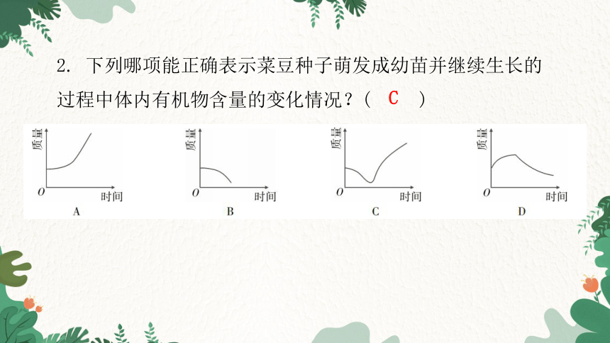 人教版生物七年级上册 第三单元生物圈中的绿色植物章末总结第二章被子植物的一生课件(共31张PPT)