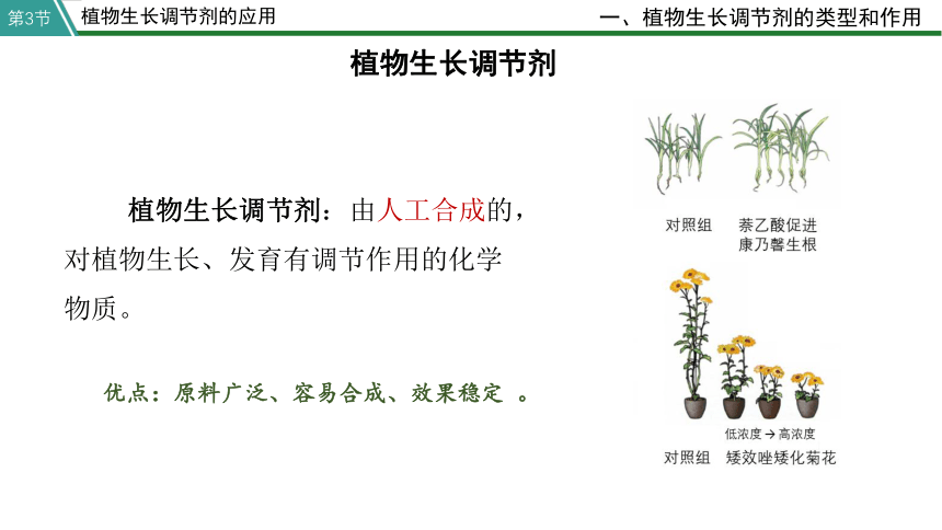 5.3 植物长生调节剂的应用  人教版（2019）选择性必修1(共22张PPT)