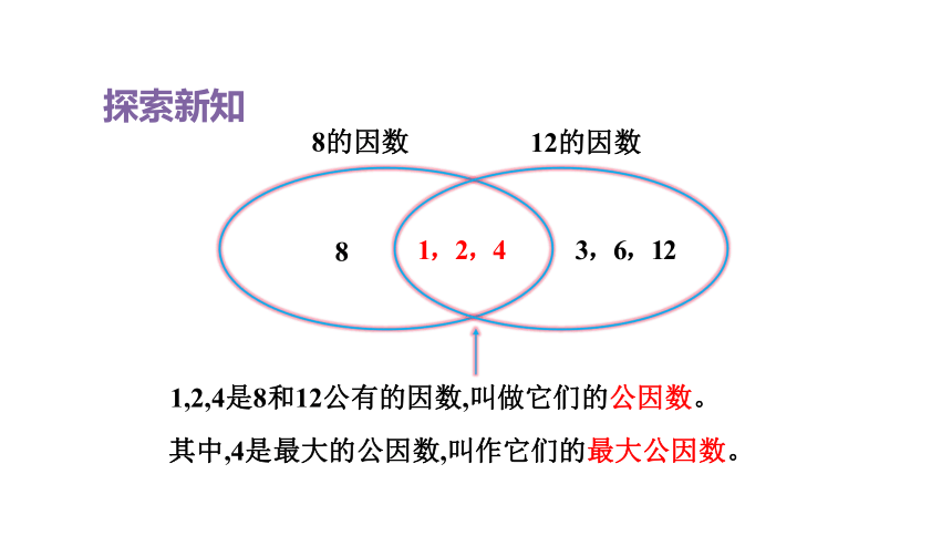 2023春人教版五年级数学下册第7课时  最大公因数(课件)（共14张PPT）