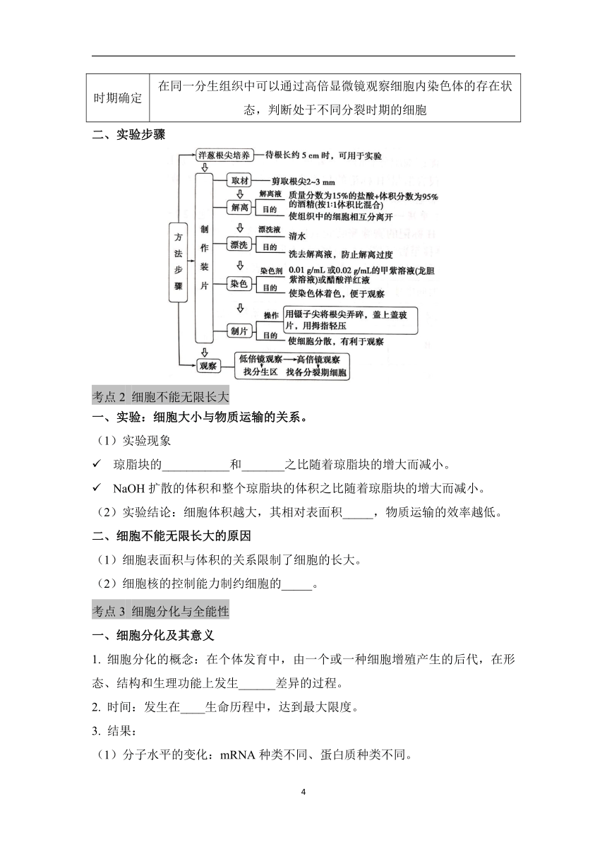 高中生物学人教版（2019）必修一 细胞的生命历程 期末复习基础知识填空