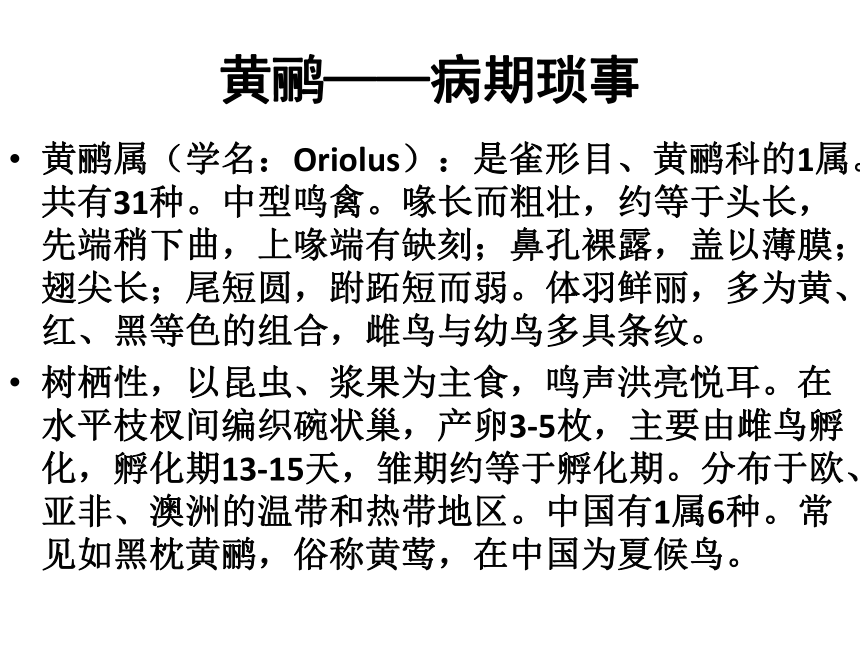 人教版高中语文选修--中国现代诗歌散文欣赏《黄鹂——病期琐事》课件(共10张PPT)