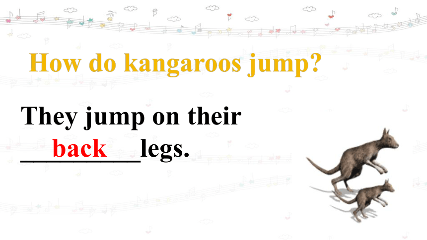 Module9 Unit2 Getting to know more about kangaroos. 课件+素材(共32张PPT)