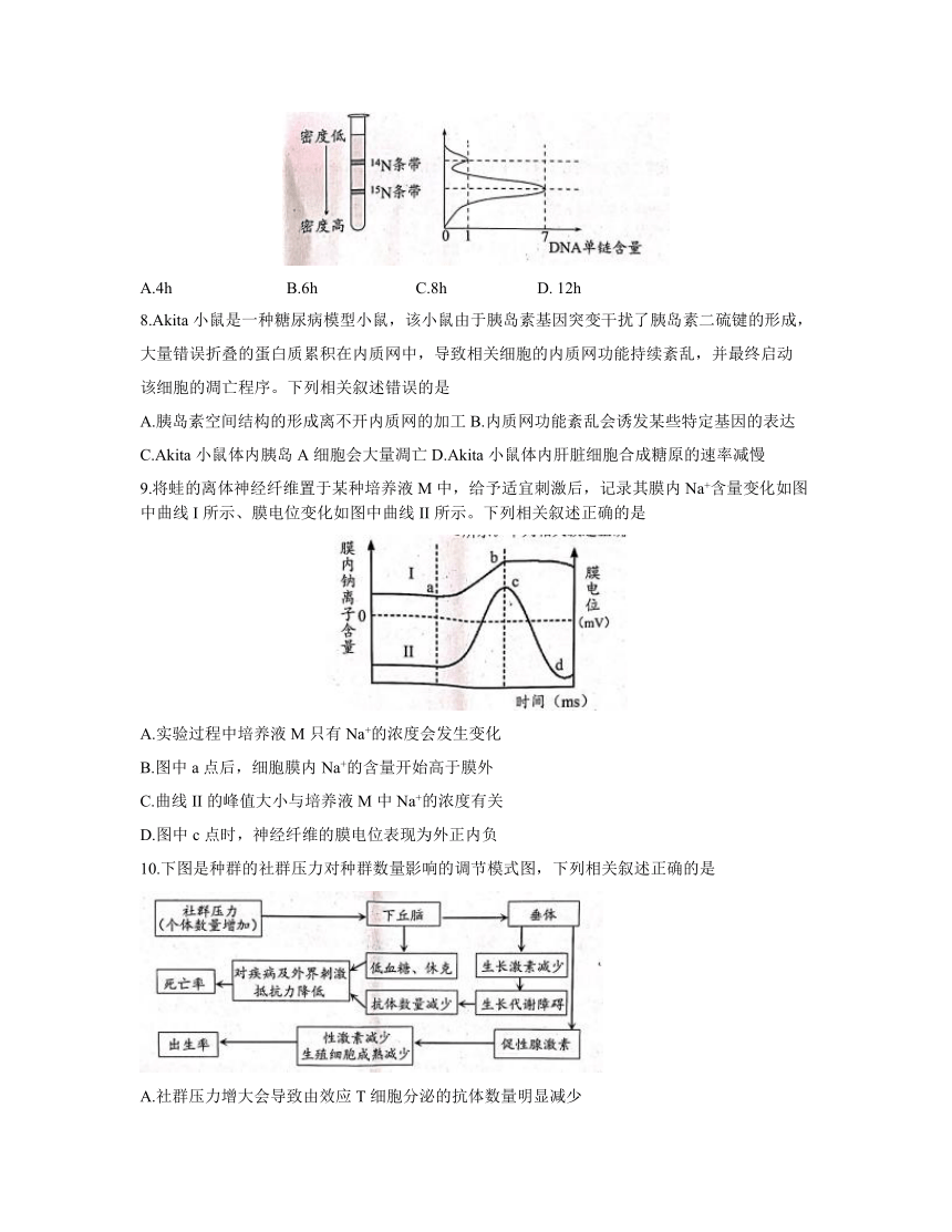 江苏省扬州市2021届高三下学期期初调研测试生物试题    含答案