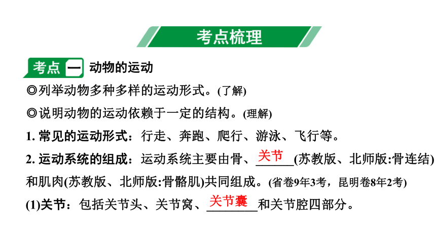 2024云南中考生物二轮中考考点研究  主题五 动物的运动和行为课件(共16张PPT)