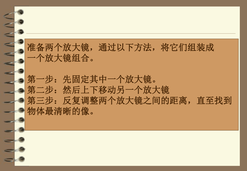 粤教粤科版（2017秋）五年级下册科学课件-7放大镜下的生物（课件14张ppt）