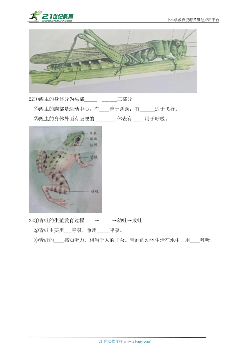 人教版八年级生物上册第五单元第一章 综合测试题（含答案）