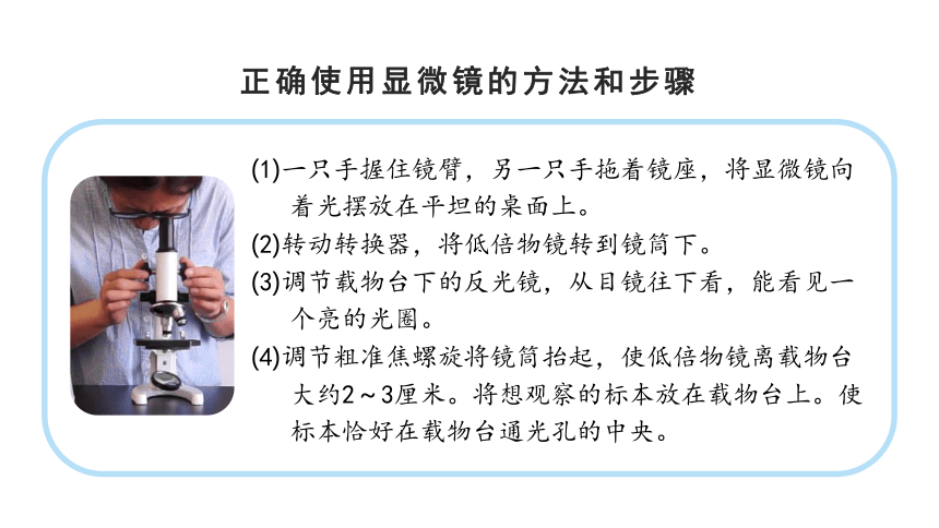 教科版（2017秋）六年级上册科学1.3 观察身边微小的物体 （课件17张ppt）