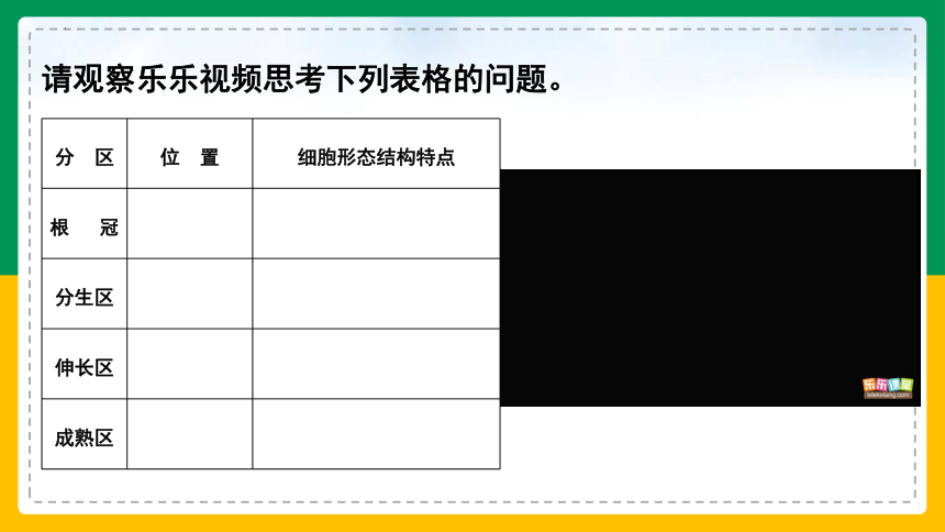 3.2.2 植株的生长-2022-2023学年上学期七年级生物名师精讲课件（人教版七上）(共35张PPT)