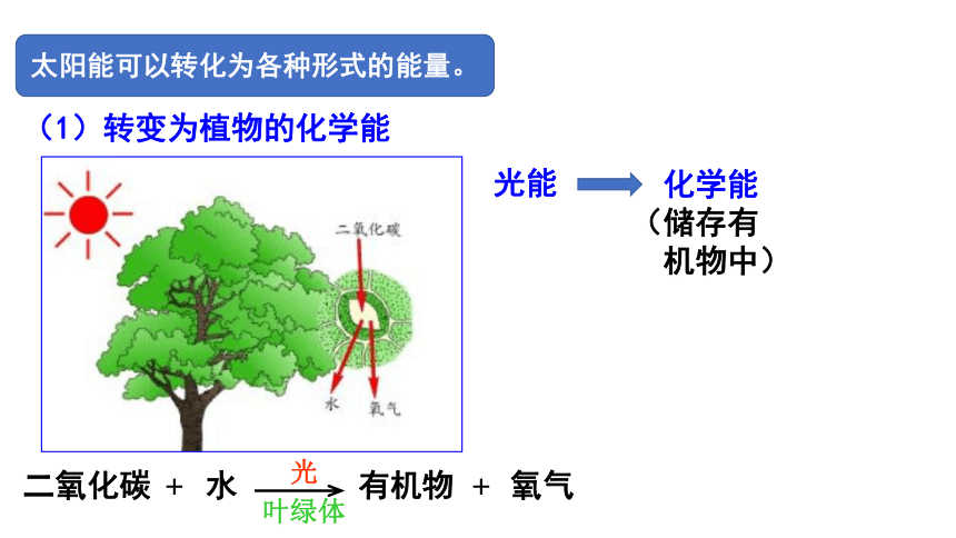 3.8 能量的转化与守恒（课件 24张PPT)