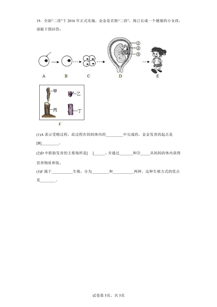 人教版八年级下册7.1.1植物的生殖（含解析）