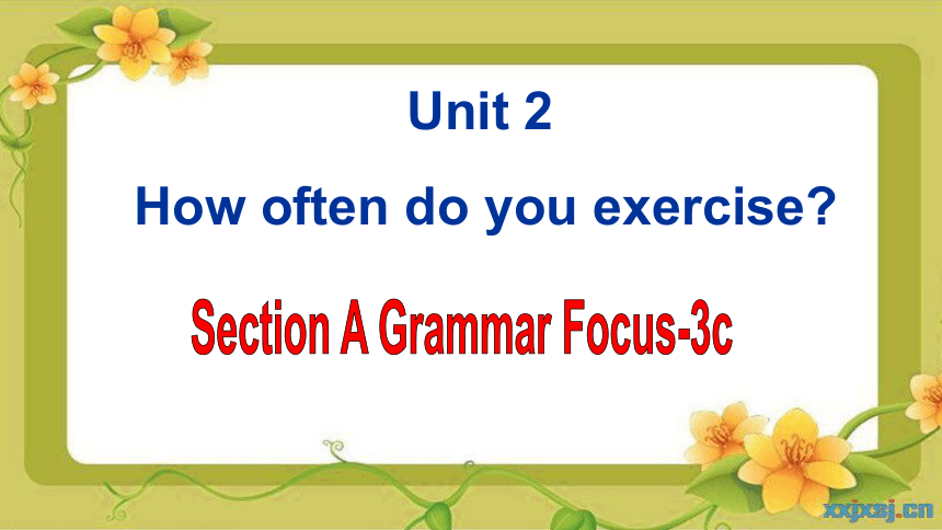 Unit 2 How often do you exercise? Seciton A(Grammar Focus-3c)课件（共37张PPT)