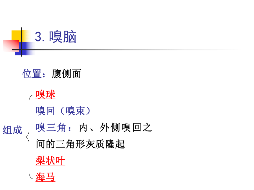 11.神经系统-5  课件(共47张PPT) - 《畜禽解剖生理学》同步教学（高教版）