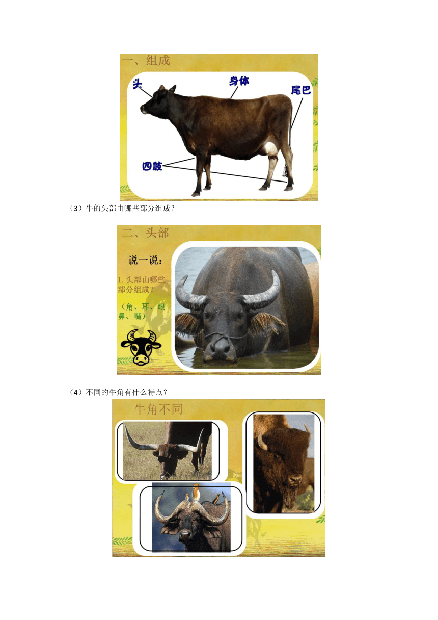 浙美版 一年级下册美术教案-第17课大牛和小牛