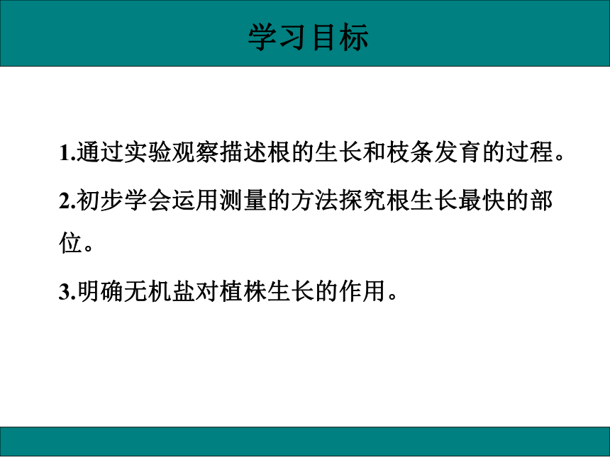 初中生物人教版七年级上册3.2.2植株的生长课件(共33张PPT)