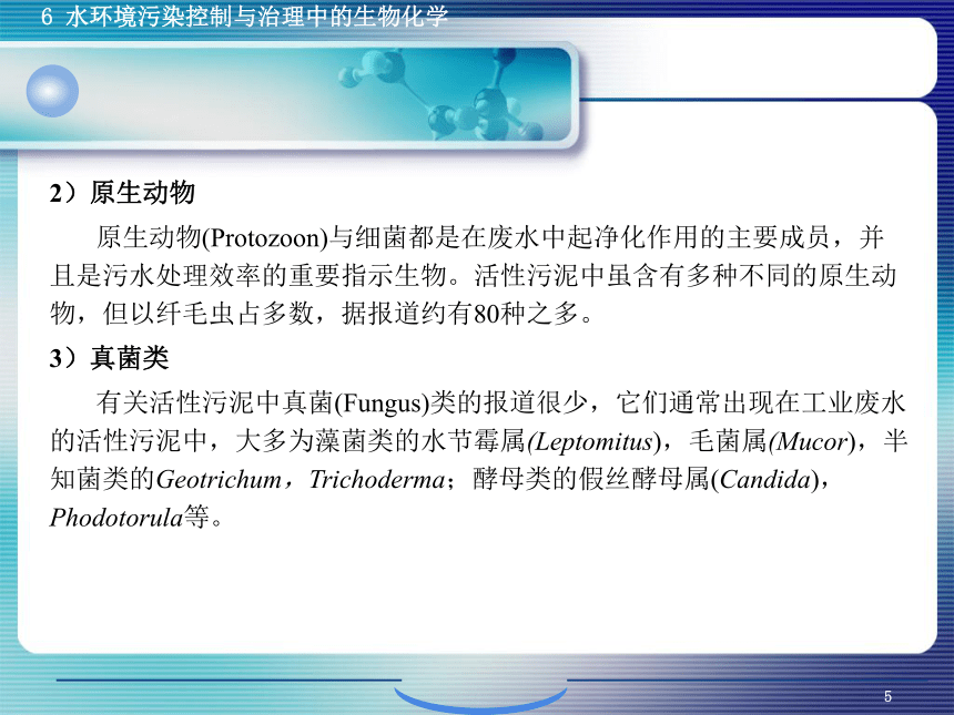 6.1污、废水生物控制与治理生物化学 课件(共38张PPT)- 《环境生物化学》同步教学（机工版·2020）